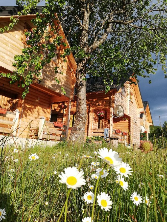 Sunny Hill Cabins Kolašin Extérieur photo