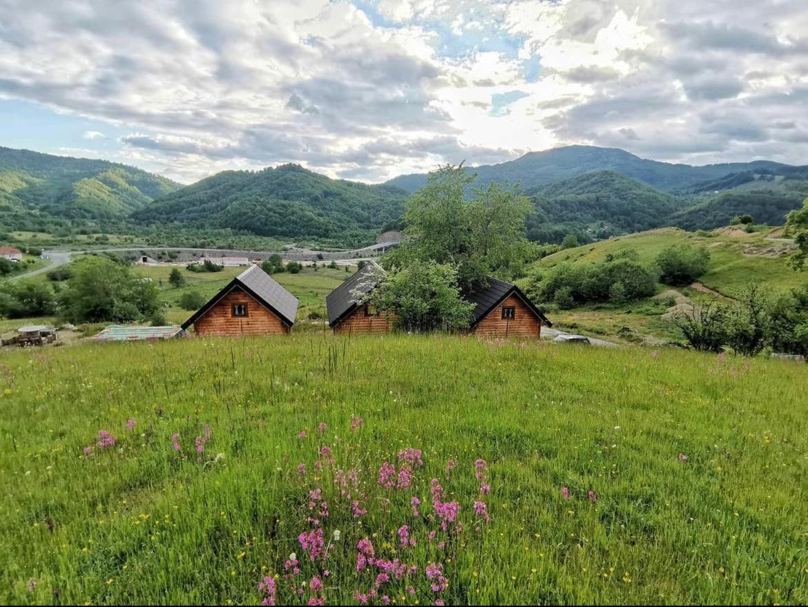 Sunny Hill Cabins Kolašin Extérieur photo